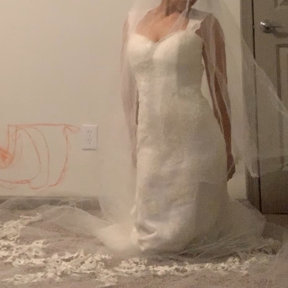 Long Lace Cathedral VERA WANG VEIL for SALE